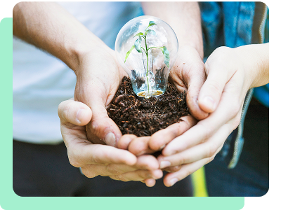 Mains tenant une plante sous une lampe verte